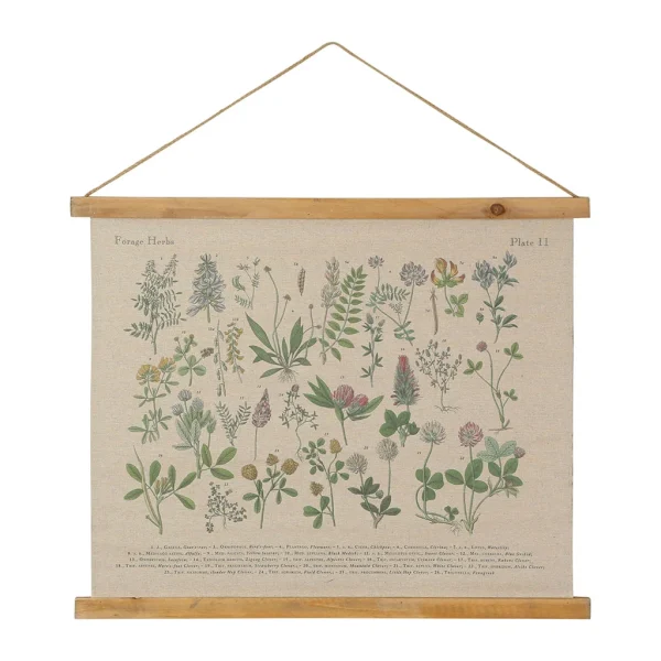 vente pas cher en ligne Comptoir De Famille Toile Herbier Naturel Et Vert 64x53cm 1