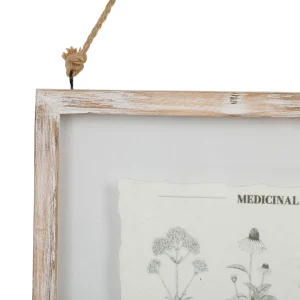 Comptoir De Famille Cadre Deco Plante Medicinal Blanchi 33x38cm Livraison internationale 6