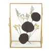 achat pas cher SEMA DESIGN Cadre Deco Limonium Naturel 11